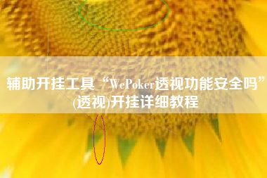辅助开挂工具“WePoker透视功能安全吗	”(透视)开挂详细教程