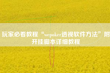 玩家必看教程“wepoker透视软件方法	”附开挂脚本详细教程