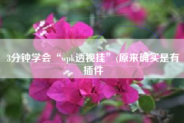 3分钟学会“wpk透视挂	”(原来确实是有插件