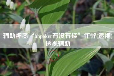 辅助神器“hhpoker有没有挂”作弊(透视)透视辅助