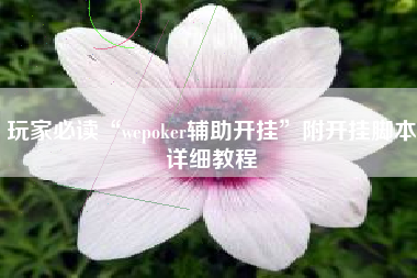 玩家必读“wepoker辅助开挂	”附开挂脚本详细教程