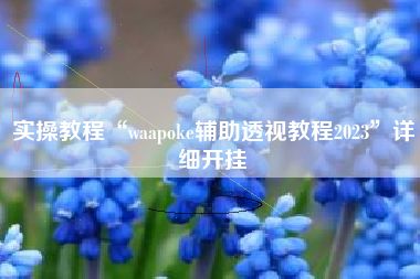 实操教程“waapoke辅助透视教程2023”详细开挂