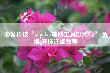 必备科技“wepoker辅助工具好用吗”(透视)开挂详细教程