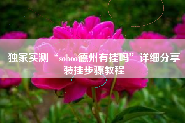 独家实测“sohoo德州有挂吗”详细分享装挂步骤教程
