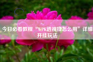 今日必看教程“WPK透视挂怎么用”详细开挂玩法