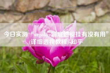 今日实测“wepoker到底透视挂有没有用”(详细透视教程)-知乎