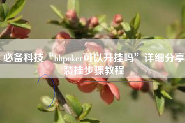 必备科技“hhpoker可以开挂吗”详细分享装挂步骤教程