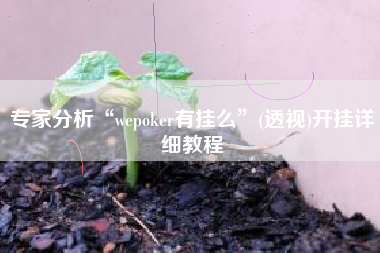 专家分析“wepoker有挂么	”(透视)开挂详细教程