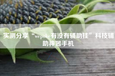 实测分享“wepoke有没有辅助挂”科技辅助神器手机 实测分享“wepoke有没有辅助挂”科技辅助神器手机