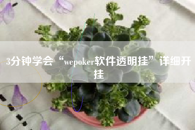 3分钟学会“wepoker软件透明挂	”详细开挂