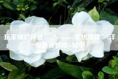 玩家辅助神器：“wepoker系统规律	”(详细透视教程)-知乎