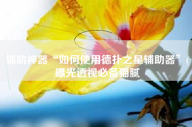 辅助神器“如何使用德扑之星辅助器”(曝光透视必备猫腻