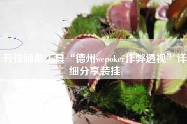 开挂辅助工具“德州wepoker作弊透视”详细分享装挂
