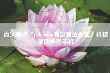 真实辅助“pokernow有没有透视挂”科技辅助神器手机