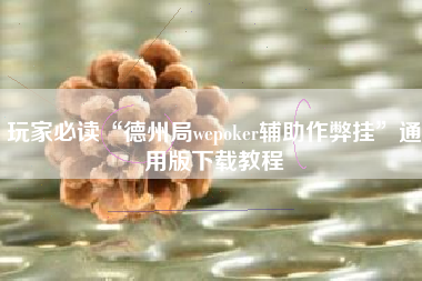 玩家必读“德州局wepoker辅助作弊挂”通用版下载教程