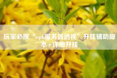 玩家必搜“wpk服务器透视”开挂辅助脚本+详细开挂