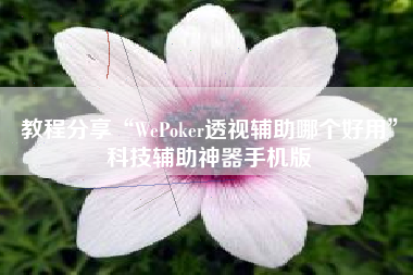 教程分享“WePoker透视辅助哪个好用	”科技辅助神器手机版