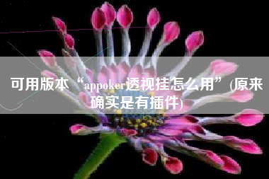 可用版本“appoker透视挂怎么用”(原来确实是有插件)