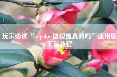 玩家必读“wepoker透视是真的吗”通用版下载教程