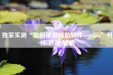 独家实测“如何使用辅助软件wepoker”开挂(透视)辅助