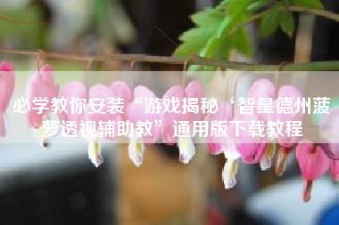 必学教你安装“游戏揭秘‘智星德州菠萝透视辅助教	”通用版下载教程