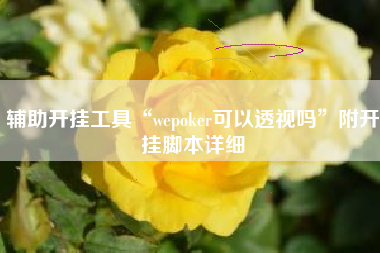 辅助开挂工具“wepoker可以透视吗”附开挂脚本详细