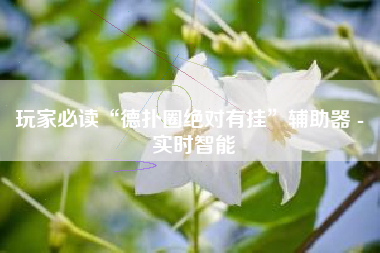 玩家必读“德扑圈绝对有挂”辅助器 - 实时智能