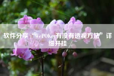 软件分享“WePOKer有没有透视方法	”详细开挂