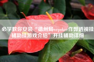 必学教你安装“德州局wepoker作弊透视挂辅助挂游戏介绍”开挂辅助详细