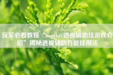 玩家必看教程“wepoker透视辅助挂游戏介绍	”揭秘透视辅助万能挂用法