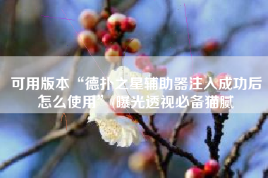 可用版本“德扑之星辅助器注入成功后怎么使用”(曝光透视必备猫腻