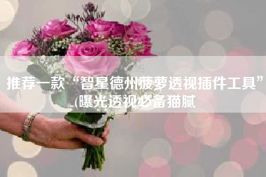 推荐一款“智星德州菠萝透视插件工具	”(曝光透视必备猫腻