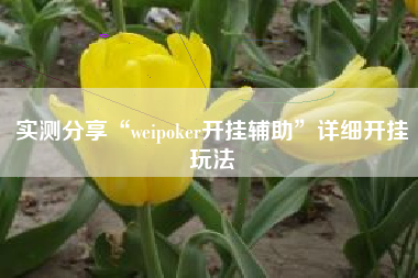 实测分享“weipoker开挂辅助”详细开挂玩法