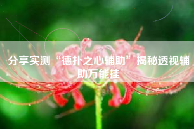 分享实测“德扑之心辅助	”揭秘透视辅助万能挂