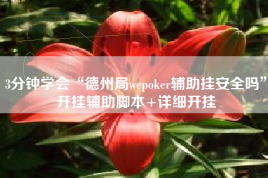 3分钟学会“德州局wepoker辅助挂安全吗”开挂辅助脚本+详细开挂