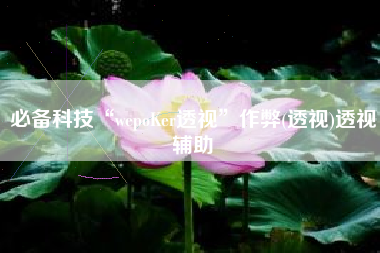 必备科技“wepoKer透视”作弊(透视)透视辅助