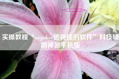 实操教程“wepoker透视挂的软件”科技辅助神器手机版