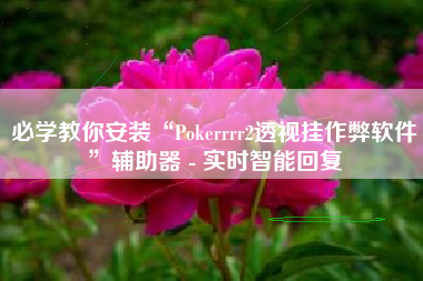 必学教你安装“Pokerrrr2透视挂作弊软件”辅助器 - 实时智能回复