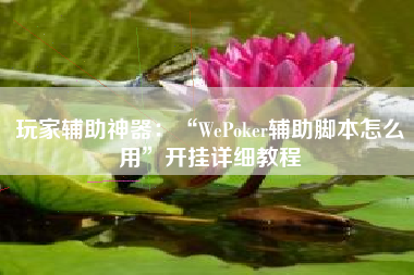 玩家辅助神器：“WePoker辅助脚本怎么用”开挂详细教程