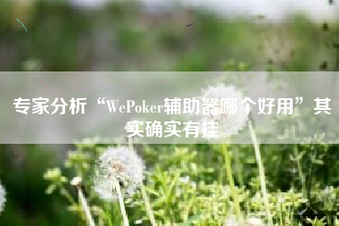 专家分析“WePoker辅助器哪个好用”其实确实有挂
