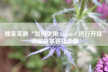 独家实测“如何使用 wepoker 进行开挂”详细分享装挂步骤