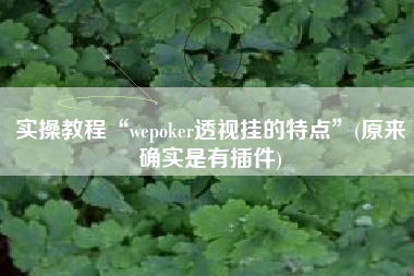 实操教程“wepoker透视挂的特点”(原来确实是有插件)