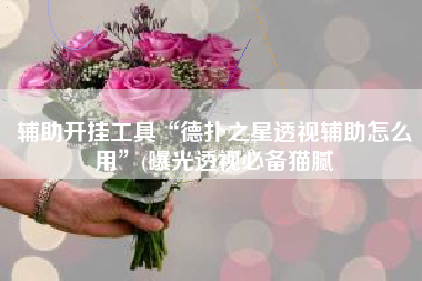 辅助开挂工具“德扑之星透视辅助怎么用”(曝光透视必备猫腻