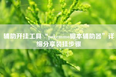 辅助开挂工具“pokemmo脚本辅助器	”详细分享装挂步骤