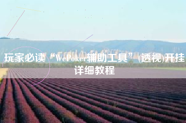 玩家必读“WePoker辅助工具	”(透视)开挂详细教程