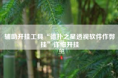 辅助开挂工具“德扑之星透视软件作弊挂”详细开挂