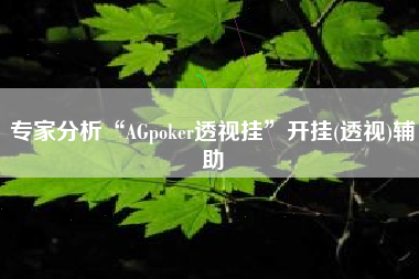 专家分析“AGpoker透视挂	”开挂(透视)辅助