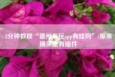 3分钟教程“德州来玩app有挂吗”(原来确实是有插件