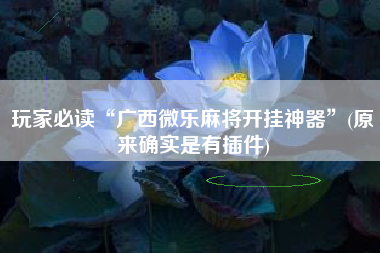 玩家必读“广西微乐麻将开挂神器	”(原来确实是有插件)