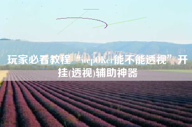 玩家必看教程“wepOKer能不能透视”开挂(透视)辅助神器